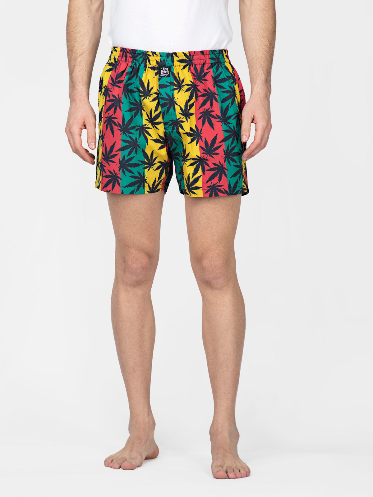 Multicolored Leaf Printed Cotton Boxers - thebriefsstory