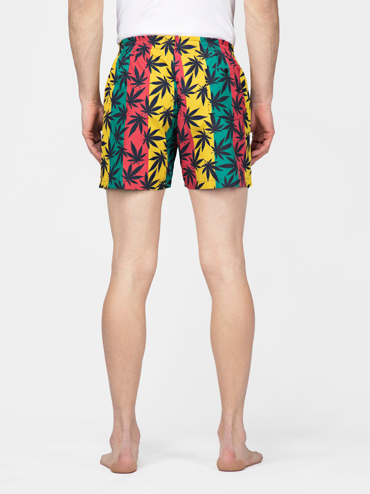 Multicolored Leaf Printed Cotton Boxers - thebriefsstory