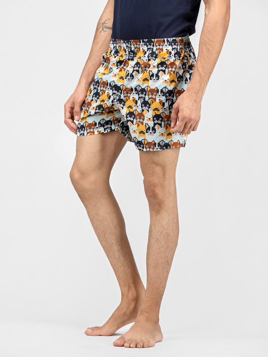 White Cute doggy faces printed cotton boxers - thebriefsstory