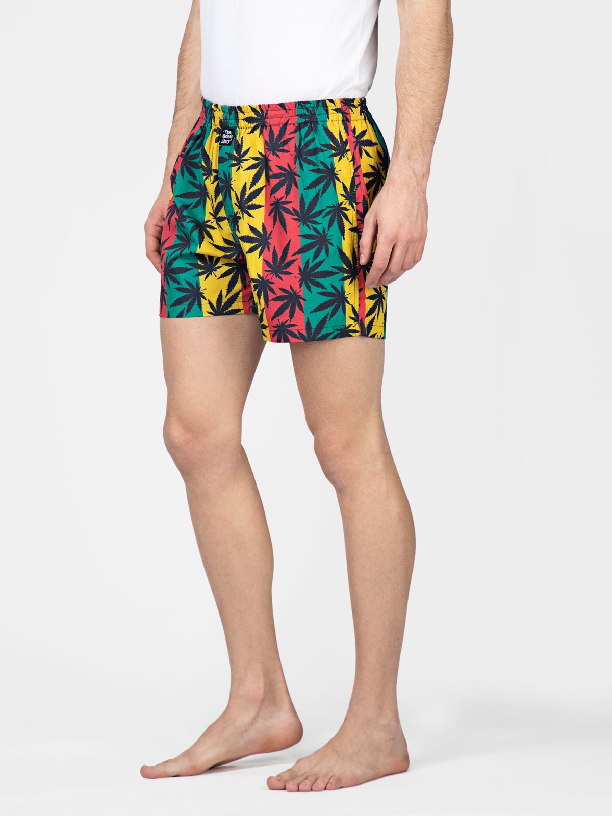 Multicolored Leaf Printed Cotton Boxers - thebriefsstory