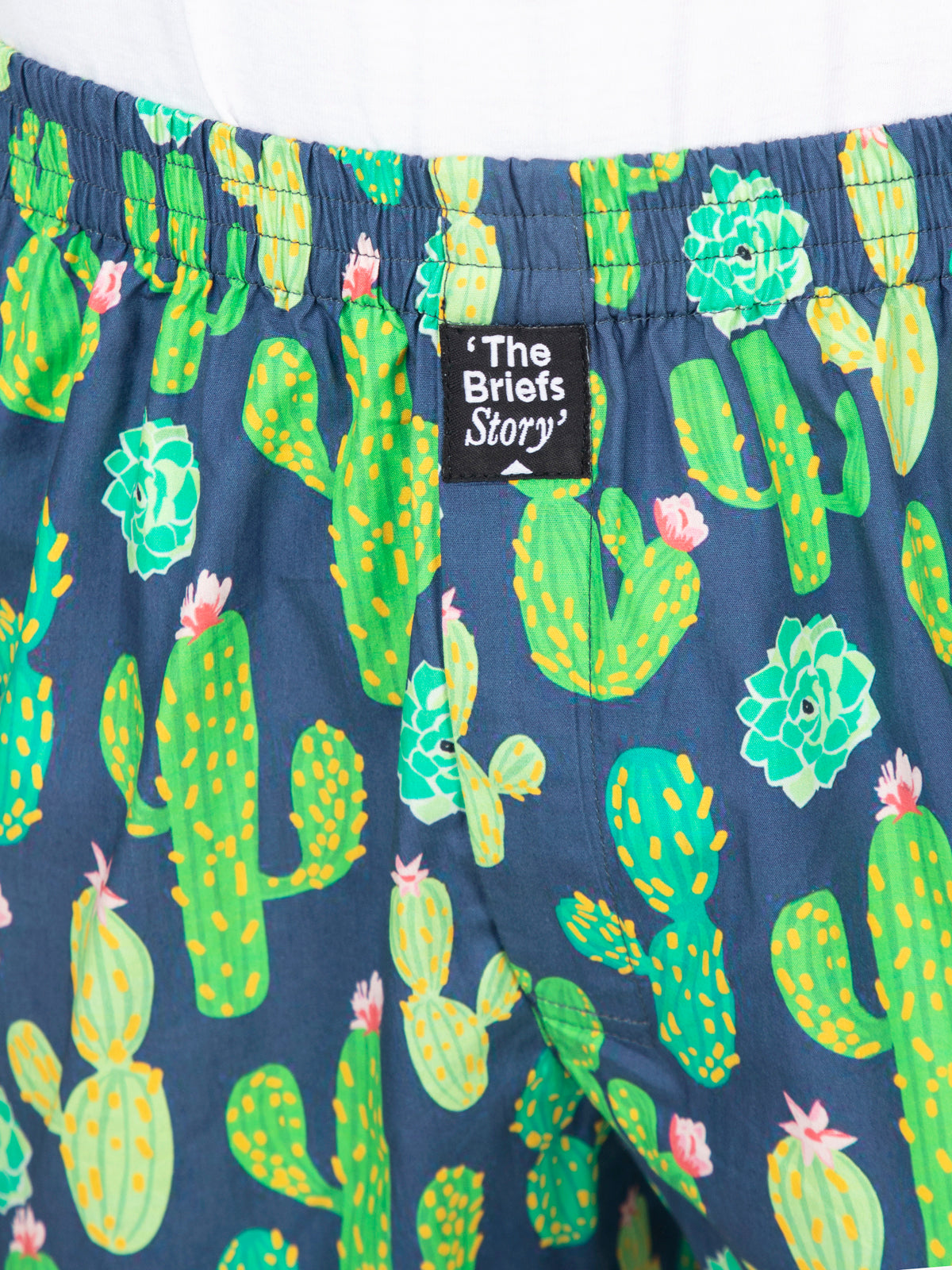 Blue Cactus printed cotton boxers