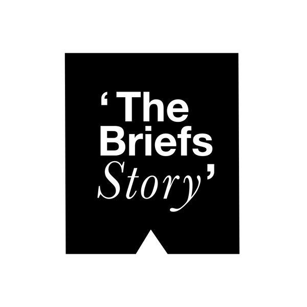 thebriefsstory